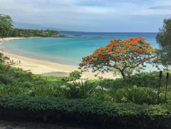 Waimea Villa Luxury Throughout Main House & Guest House