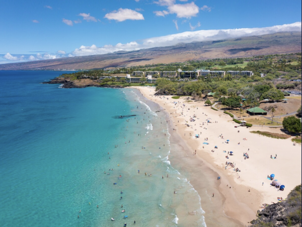 Waimea Villa Luxury Throughout Main House & Guest House