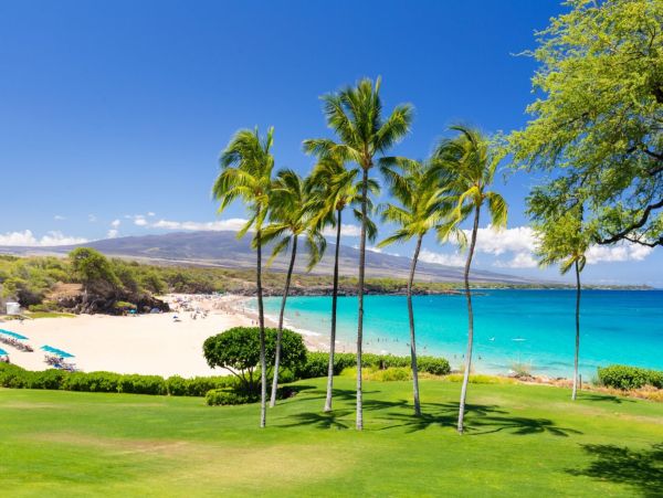 Kohala Coast Two Bedroom Luxury Tropical Retreat