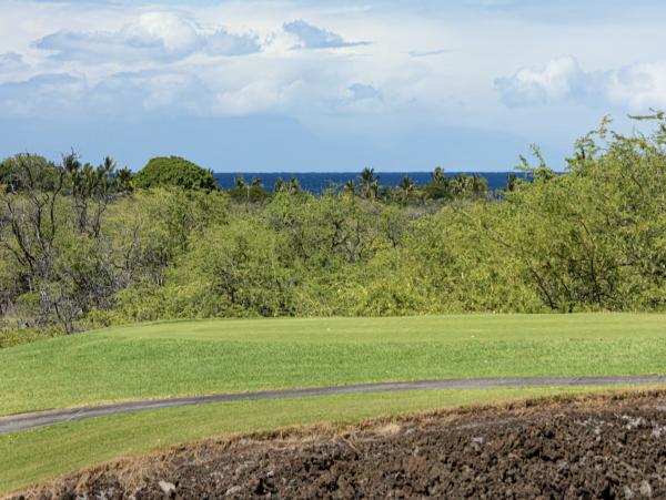 Fully Detached Luxury Villa Big Island Wow