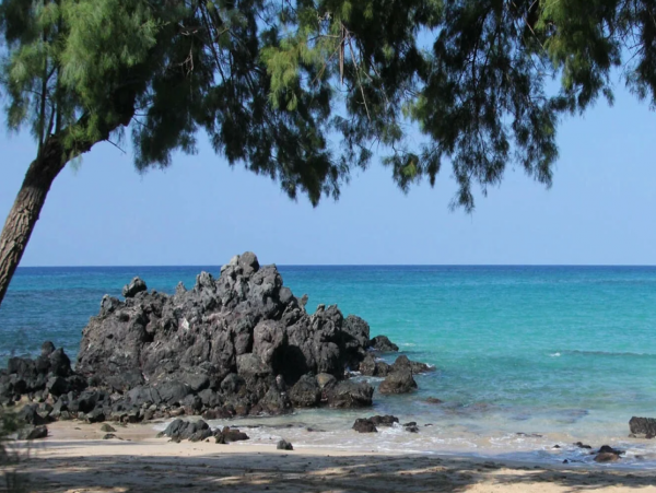 Fabulous Vacation Rental with 3 Bedrooms & Great Views