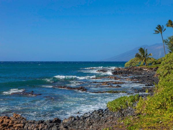 Luxury 3 Bedroom Vacation in Wailea Beach