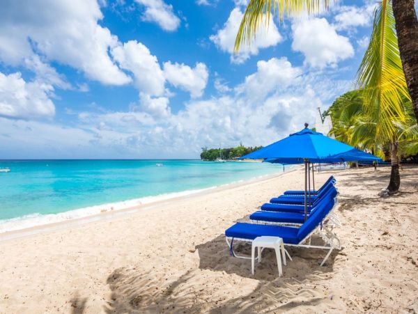 Barbados Estate luxury Vacation Villa - Staff- Pool