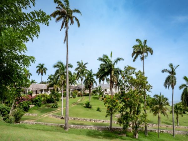 Caribbean Bliss: A 10-Bedroom Luxury Retreat in Montego Bay