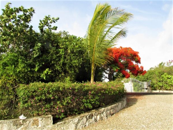 Waterfront Perfect Getaway with Amazing Views