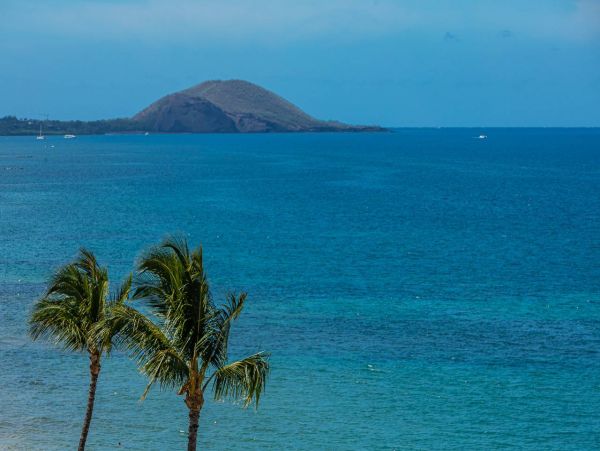 Beach Front Kihei Vacation Condo two Bedroom