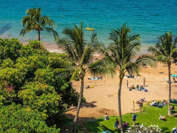 Beach Front Kihei Vacation Condo two Bedroom