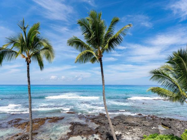 Kona Confortable Oceanside Condo with 3 Bedroom