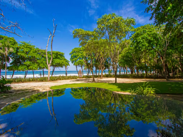 Beachfront 3 Bedroom Vacation Villa in Santa Teresa