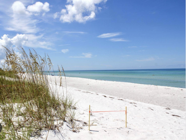 3 Bedroom Across The Beach for 9 Guests