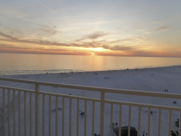 Oceanfront Siesta Condo New In Call Today!