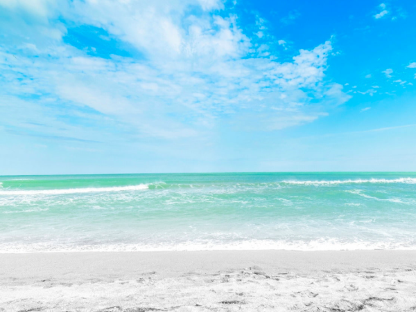 Coastal Comfort Just Steps from Siesta Key Beach