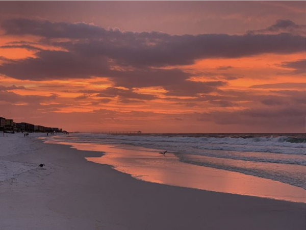 Beachfront Dream World Class Beach Views!