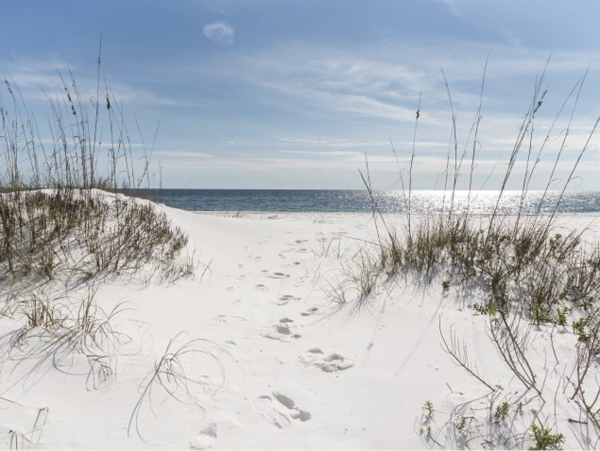 Beachfront Dream World Class Beach Views!