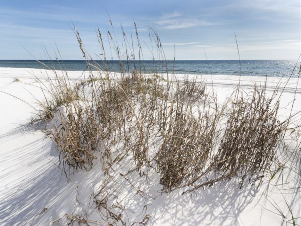 Beachfront Dream World Class Beach Views!