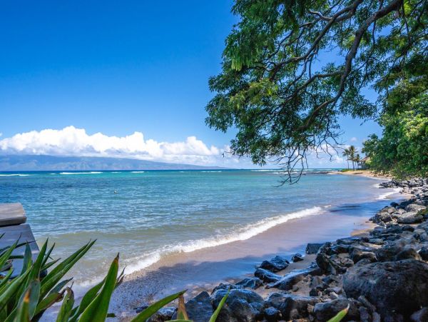Oceanfront Kahana Condo w/ 4 Sleeps Guest