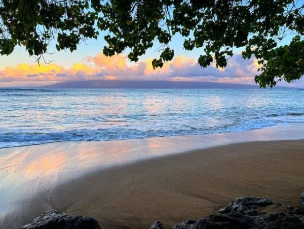 Oceanfront Kahana Condo w/ 4 Sleeps Guest
