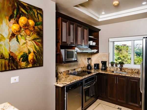 Tamarindo Oceanview Condo with 4 Bedrooms
