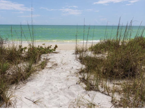 Marco Island Beachfront Condo 2 Bedroom Sleeps 6