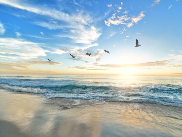 Beach Living at its Best with this Siesta Key Three Bedroom Home