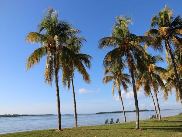 Bay Views Fort Myers Vacation Condo Two Bedroom