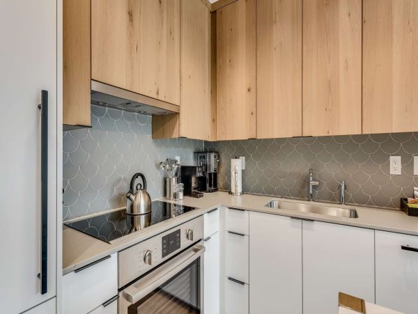Snowmass Ski-In/Ski-Out Vacation Rental - Luxury Condo with Mountain Views