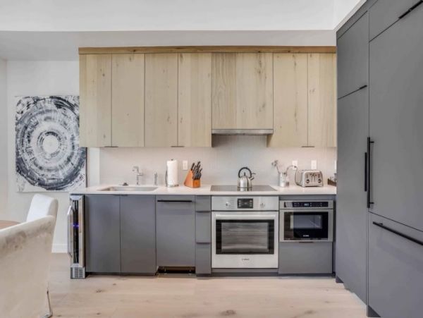Mountain Luxury Snowmass 2 Bedroom Vacation Condo