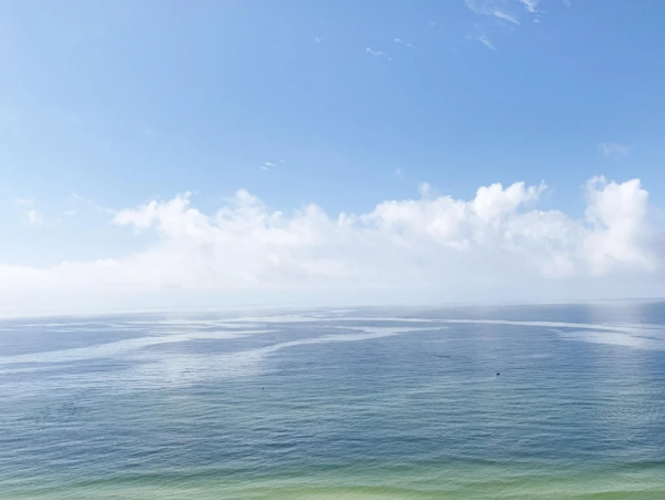 Stunning 16th-Floor Vacation Condo in Panama City Beach