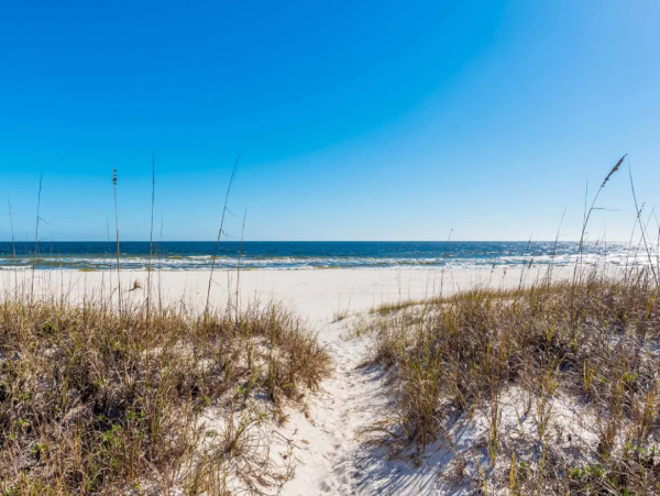 Oeanfront Lovely 3 Bedroom Condo in Perdido Key Sleeps 11