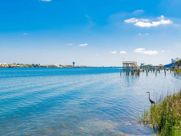 Perdido Key Home 1087724