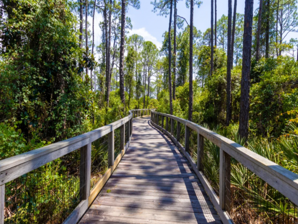 Beautiful 2 Bedroom Vacation Rental in Inlet Beach Sleeps 6