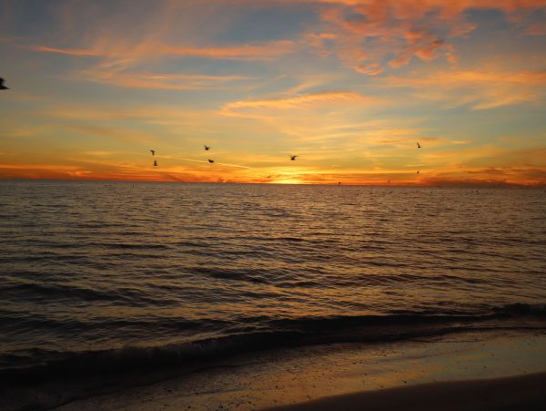 One Bedroom Home short walk Beach in Siesta Key