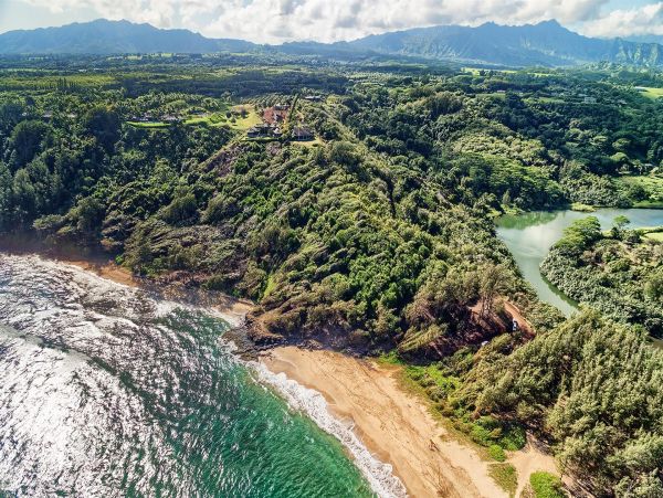 Kilauea Luxury 14 Bedroom Oceanfront Estate with Two Pools