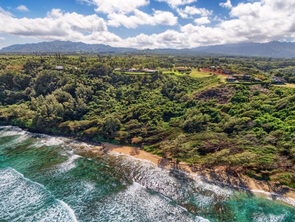 Kilauea Luxury 14 Bedroom Oceanfront Estate with Two Pools