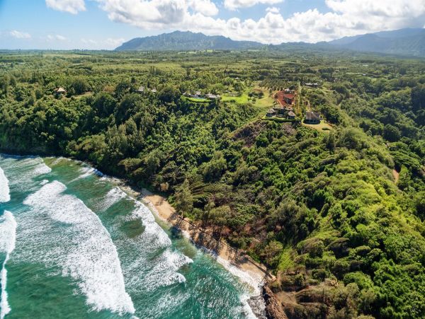 Kilauea Luxury 14 Bedroom Oceanfront Estate with Two Pools