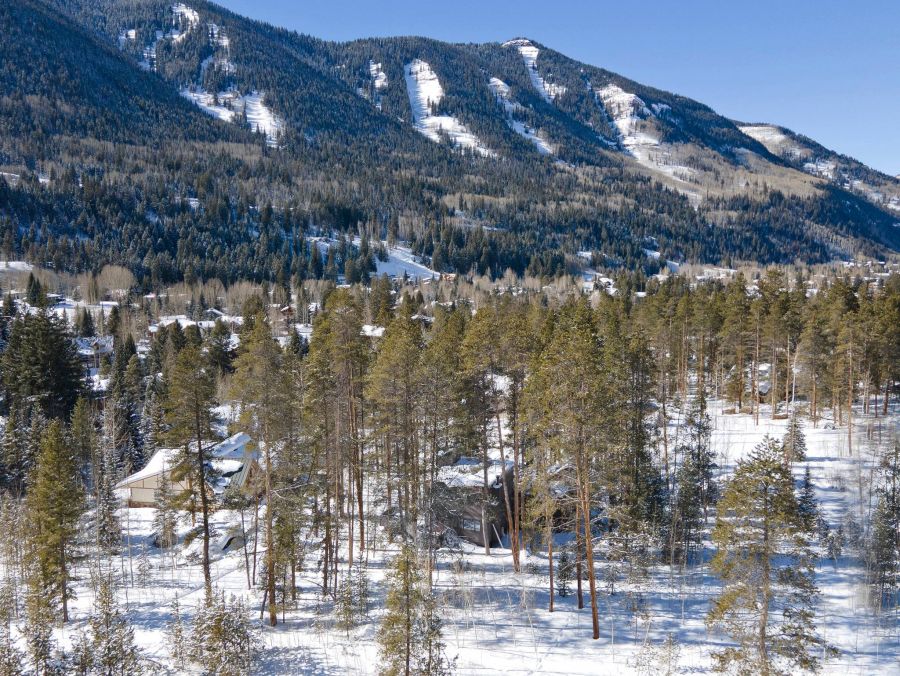 Home for Outdoor Admirers with 4 Bedroom in East Vail