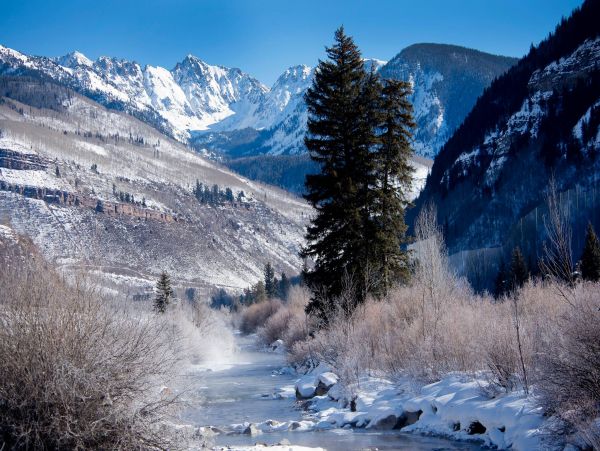 Home for Outdoor Admirers with 4 Bedroom in East Vail