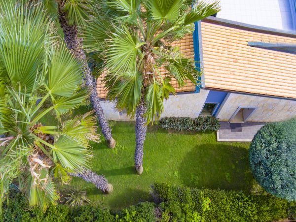 Gorgeous Oceanview Home 2 Bedroom Access to Luxury Resort