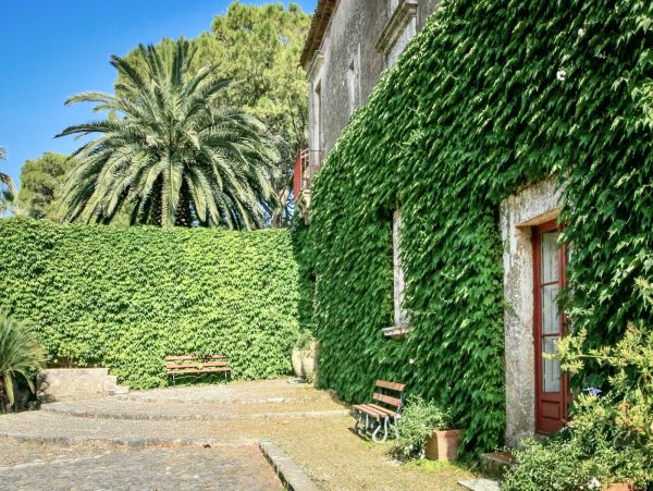 Magnificent Historical Sicilian Villa Main House & 2 Annexes