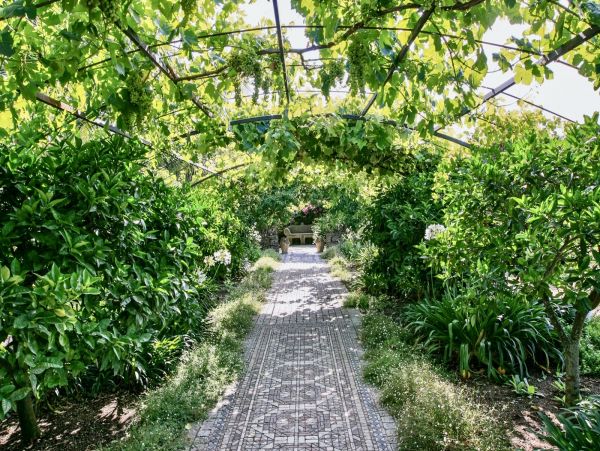 Magnificent Historical Sicilian Villa Main House & 2 Annexes