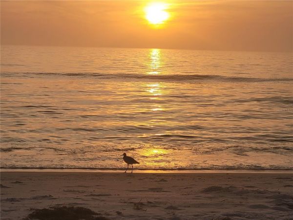Longboat Key Beachfront Condo with 2 Bedroom