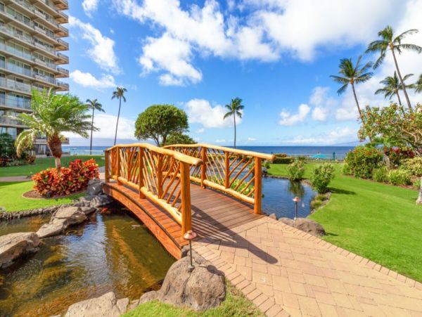 Lovely Studio with Ocean View & Great Amenities