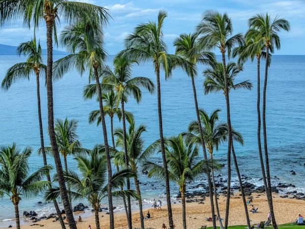 Ocean View Two Bedroom Vacation Condo in Wailea