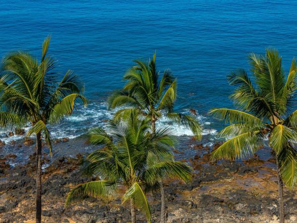 Ocean View Two Bedroom Vacation Condo in Wailea