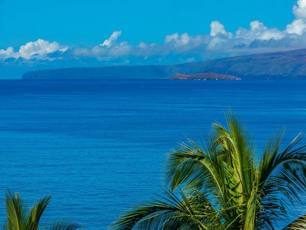 Ocean View Two Bedroom Vacation Condo in Wailea