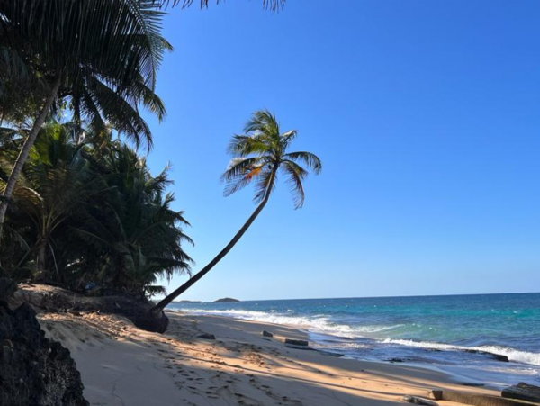 Puerto Rico Tropical Escape 7 Bedrooms Full Ocean Views