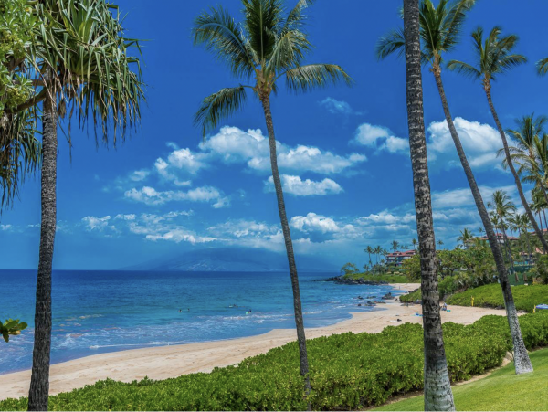 New Addition to the Wailea Beachfront Vacation Market