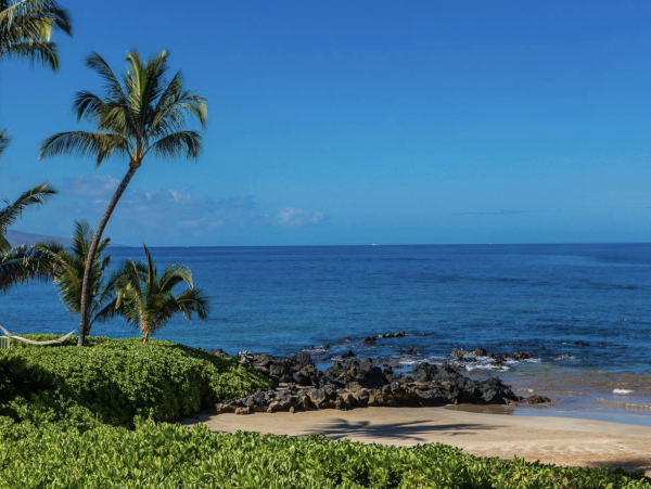 New Addition to the Wailea Beachfront Vacation Market