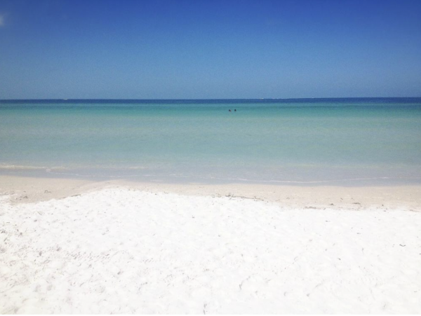 Siesta Key Vacation Condo with 2 Bedrooms
