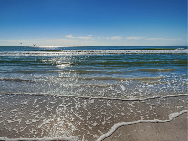 Siesta Key Vacation Condo with 2 Bedrooms